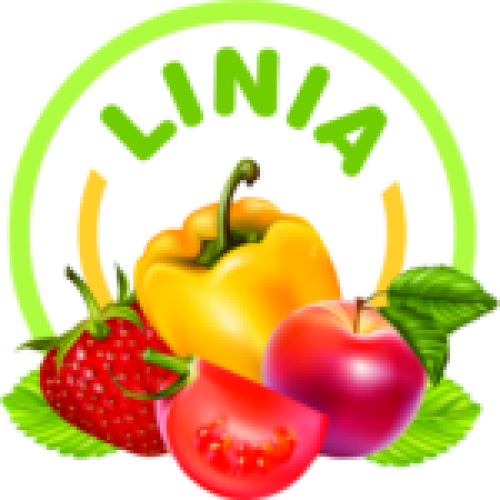 logo firmy Linia